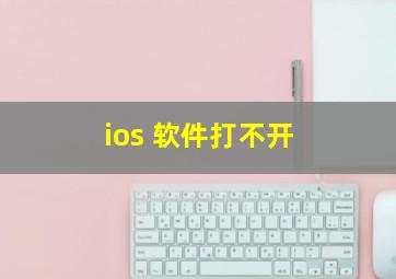 ios 软件打不开